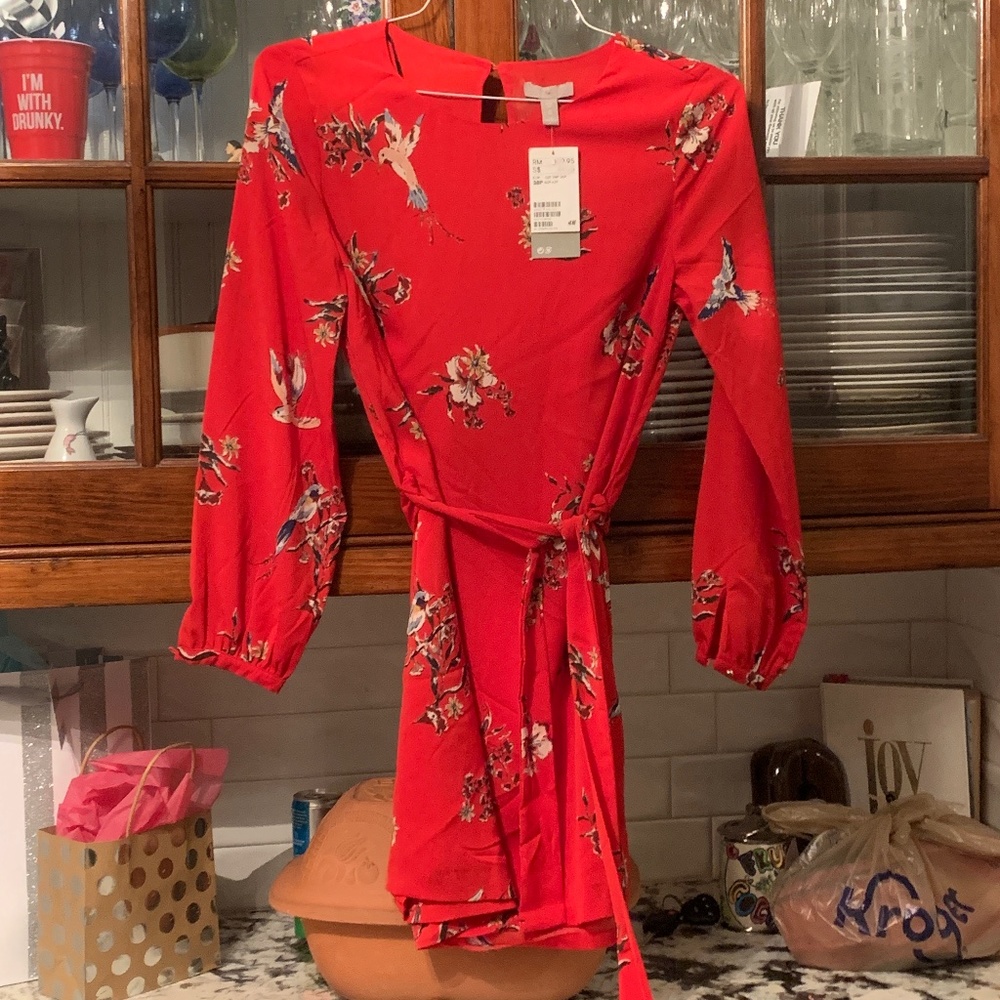 H and M belted bird dress. NWT. Retail 45